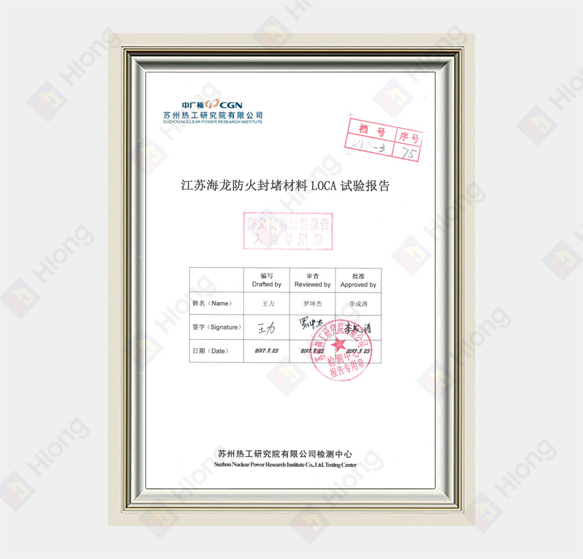 Sealing Material LOCA